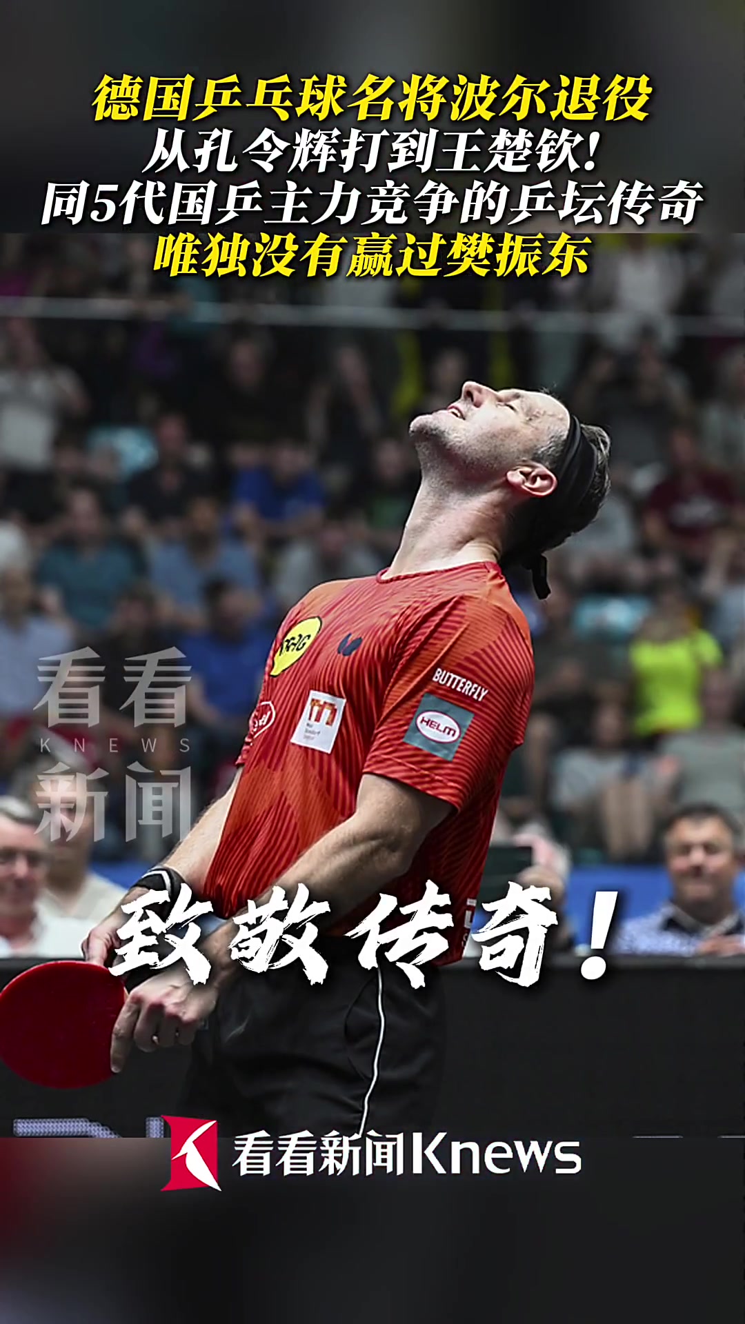 关于中国乒乓球队强势奥地利乒乓球队，波尔高光表现的信息