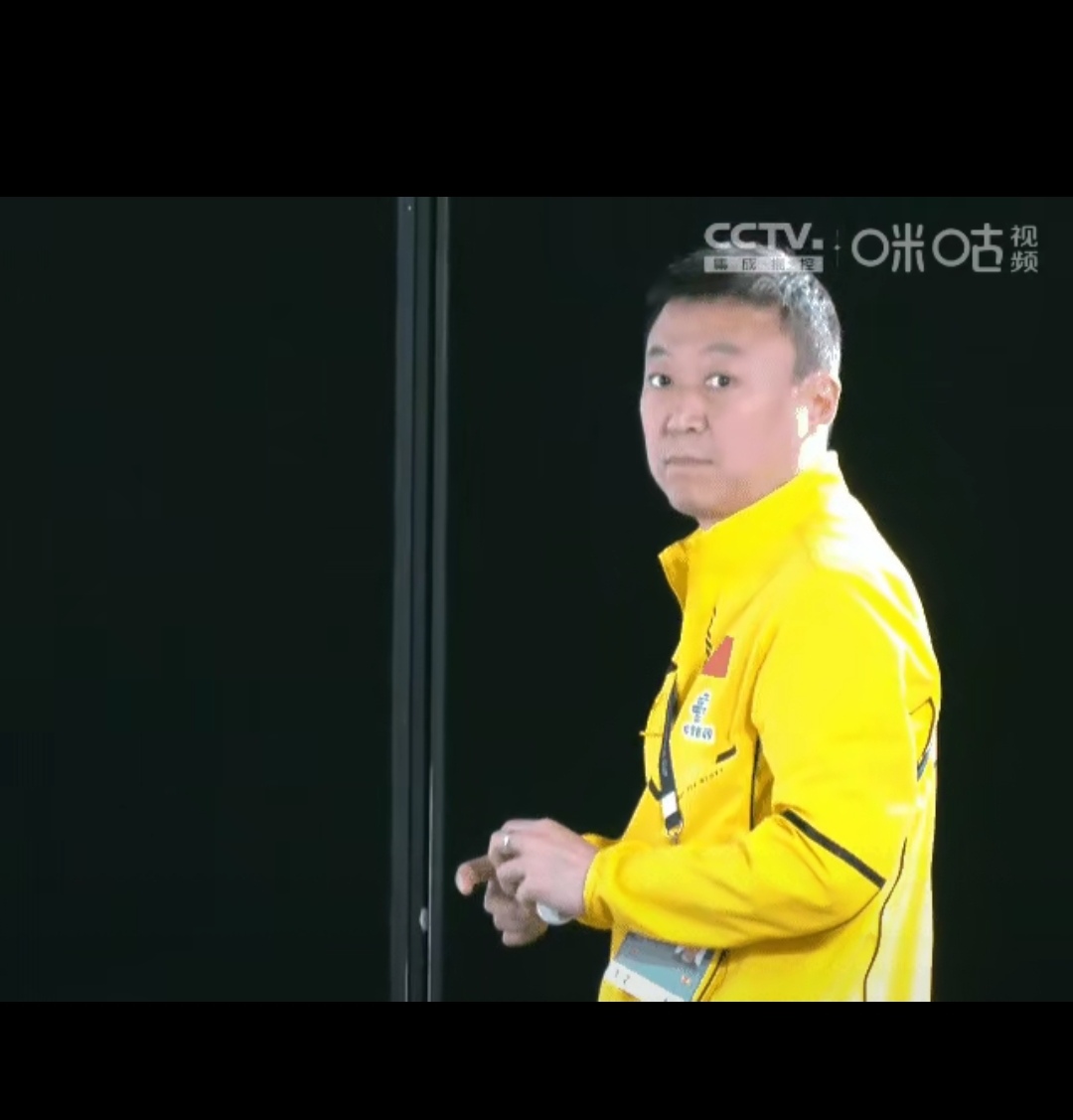 中国羽毛球队逆转法国羽毛球队，马琳高光表现的简单介绍