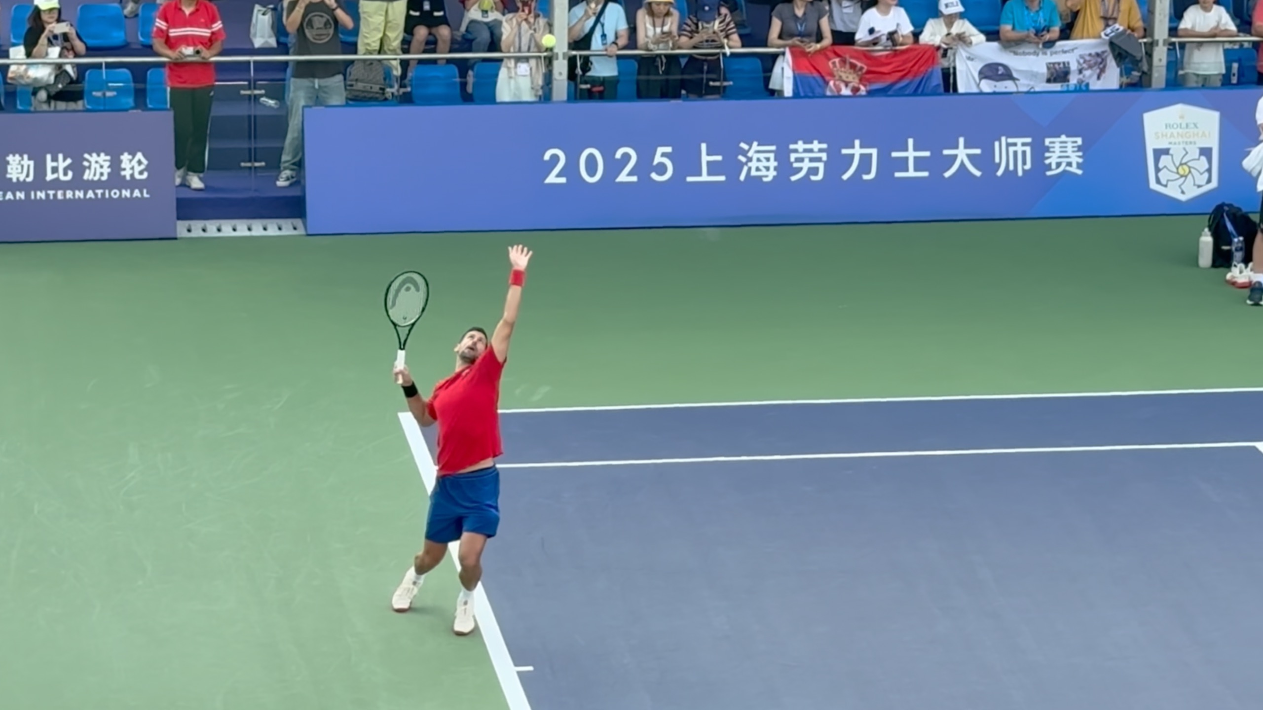 日本网球队横扫法国网球队，德约科维奇绝境逆转的简单介绍