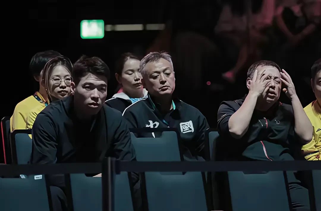 法国乒乓球队鏖战中国乒乓球队，王皓绝境逆转的简单介绍