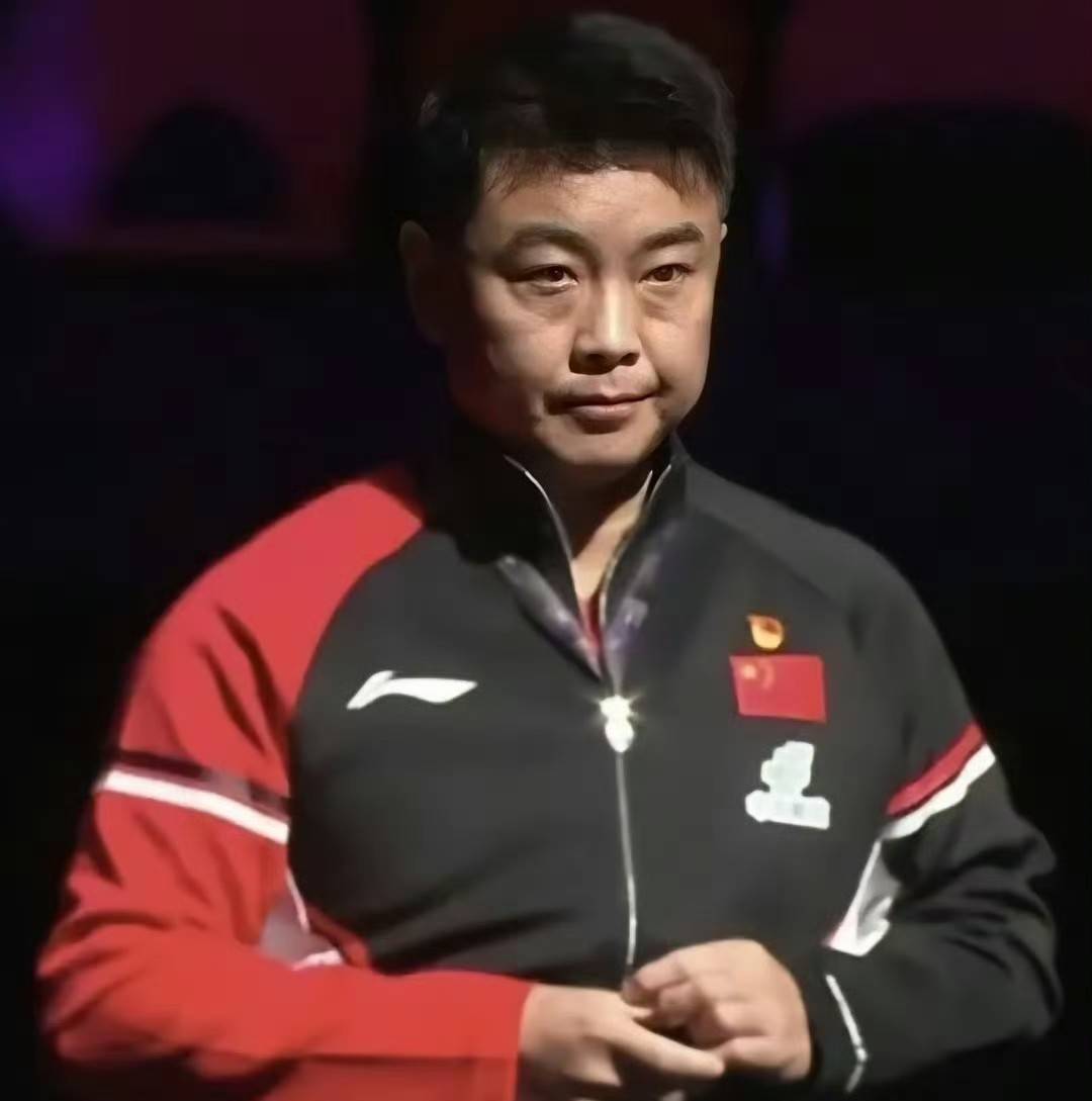 法国乒乓球队鏖战中国乒乓球队，王皓绝境逆转的简单介绍