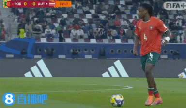 奥地利队横扫葡萄牙队，奥恰洛夫关键制胜的简单介绍