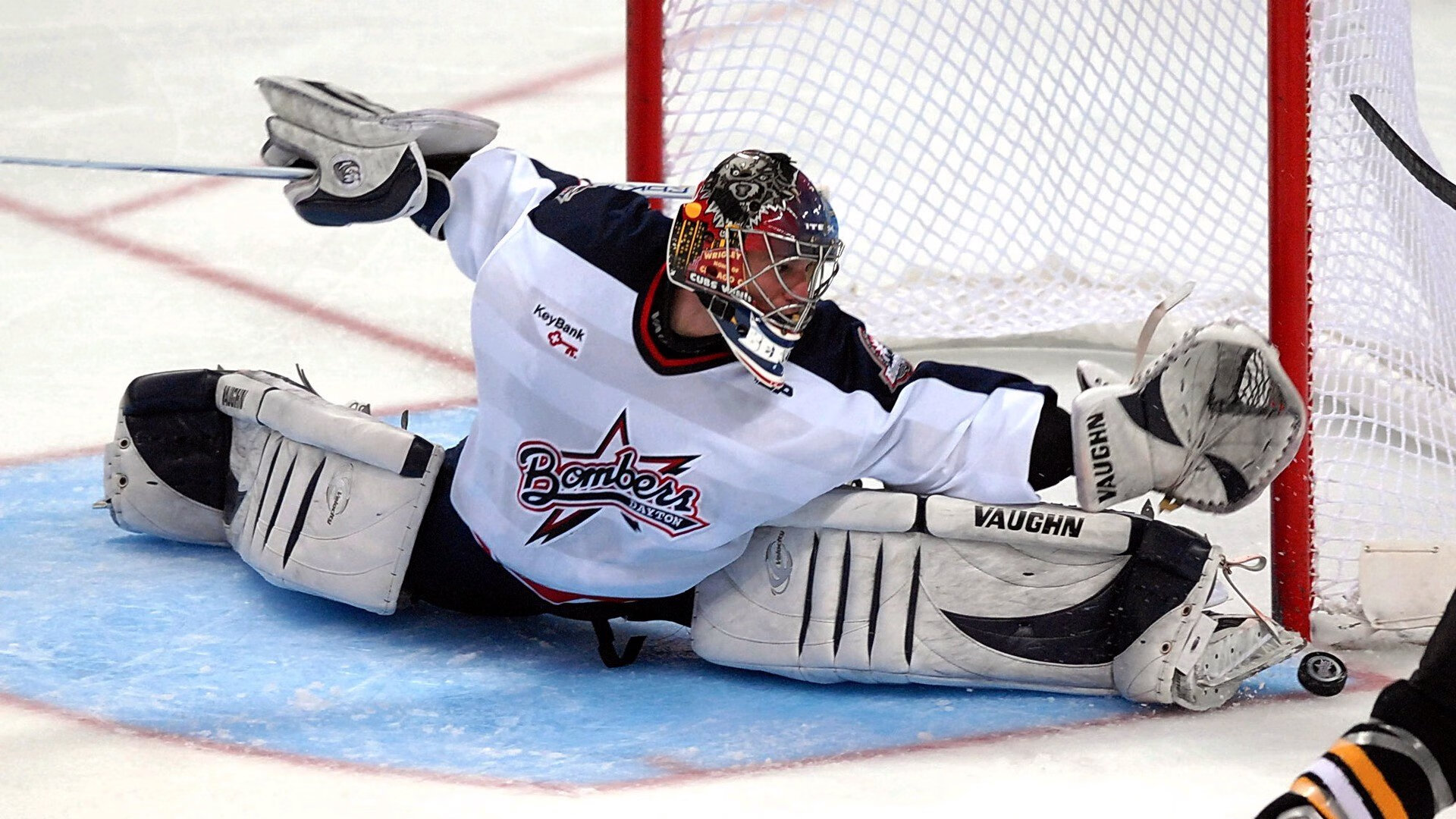 法老之怒,埃及强势拿下韩国,维尼修斯化身现代阿努比斯