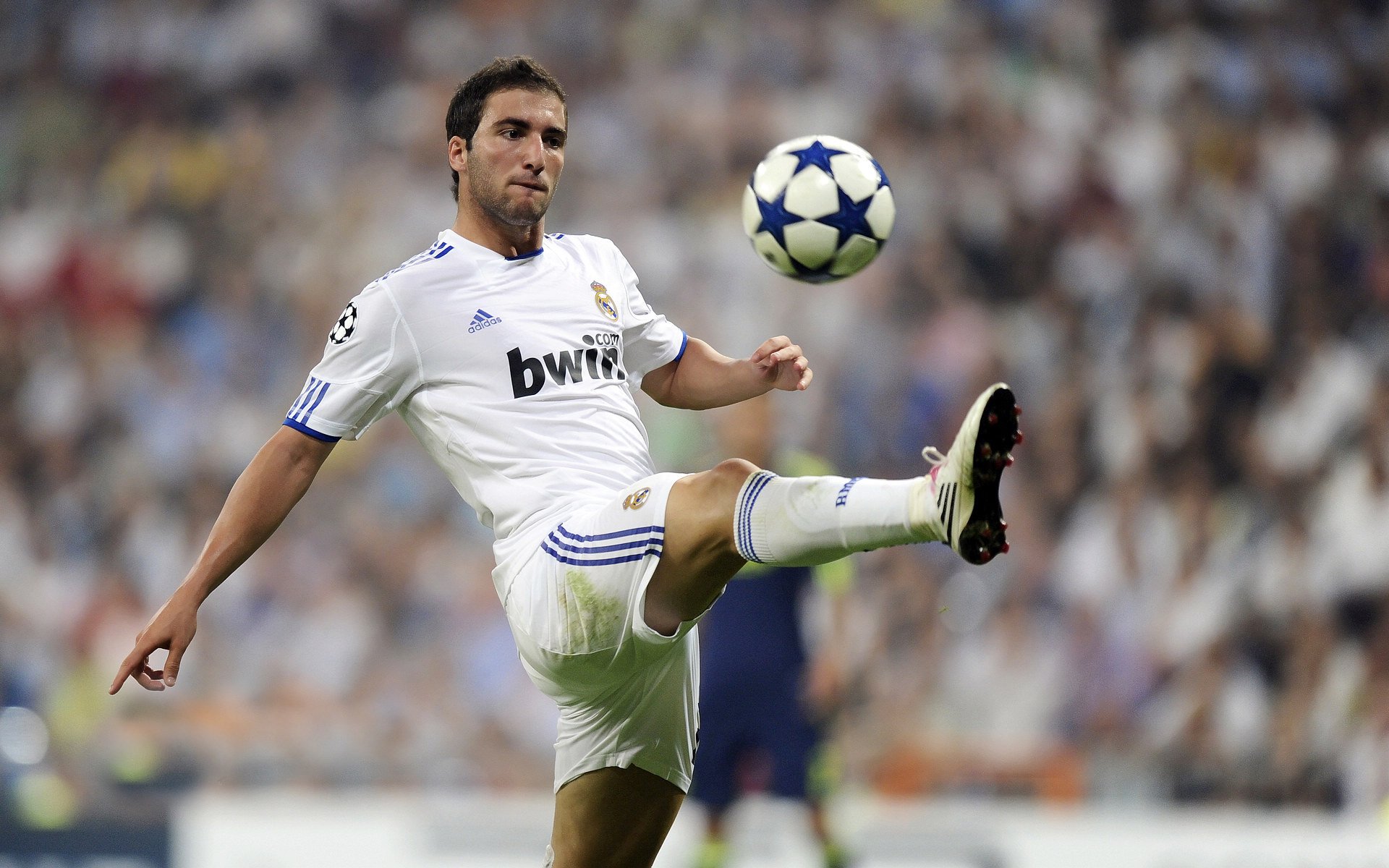 沙漠奇迹,阿尔及利亚掀翻埃及,穆勒压制级发挥改写北非足球格局